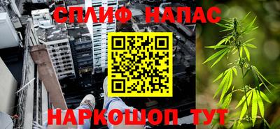 гидра Славянск-на-Кубани