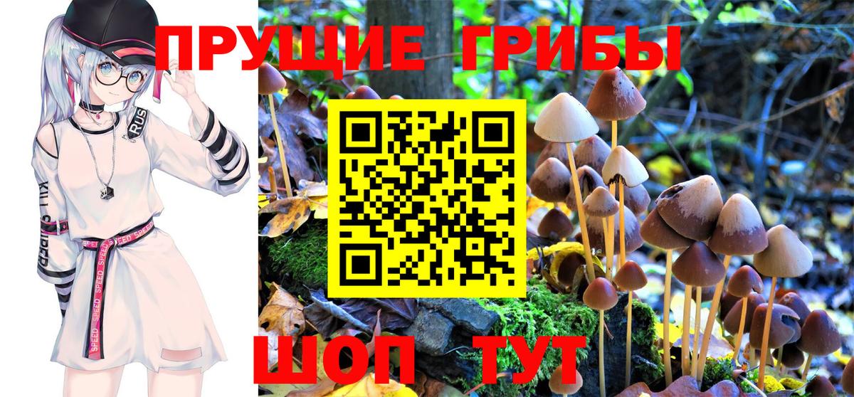 Рязань  Галлюциногенные грибы Magic Shrooms  как найти закладки  Вход с VPN  Псилоцибиновые грибы GOLDEN TEACHER 