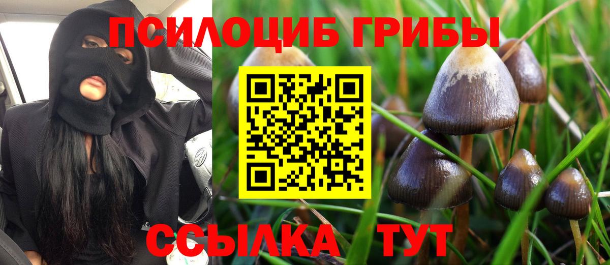 Галлюциногенные грибы MAGIC MUSHROOMS Рязань